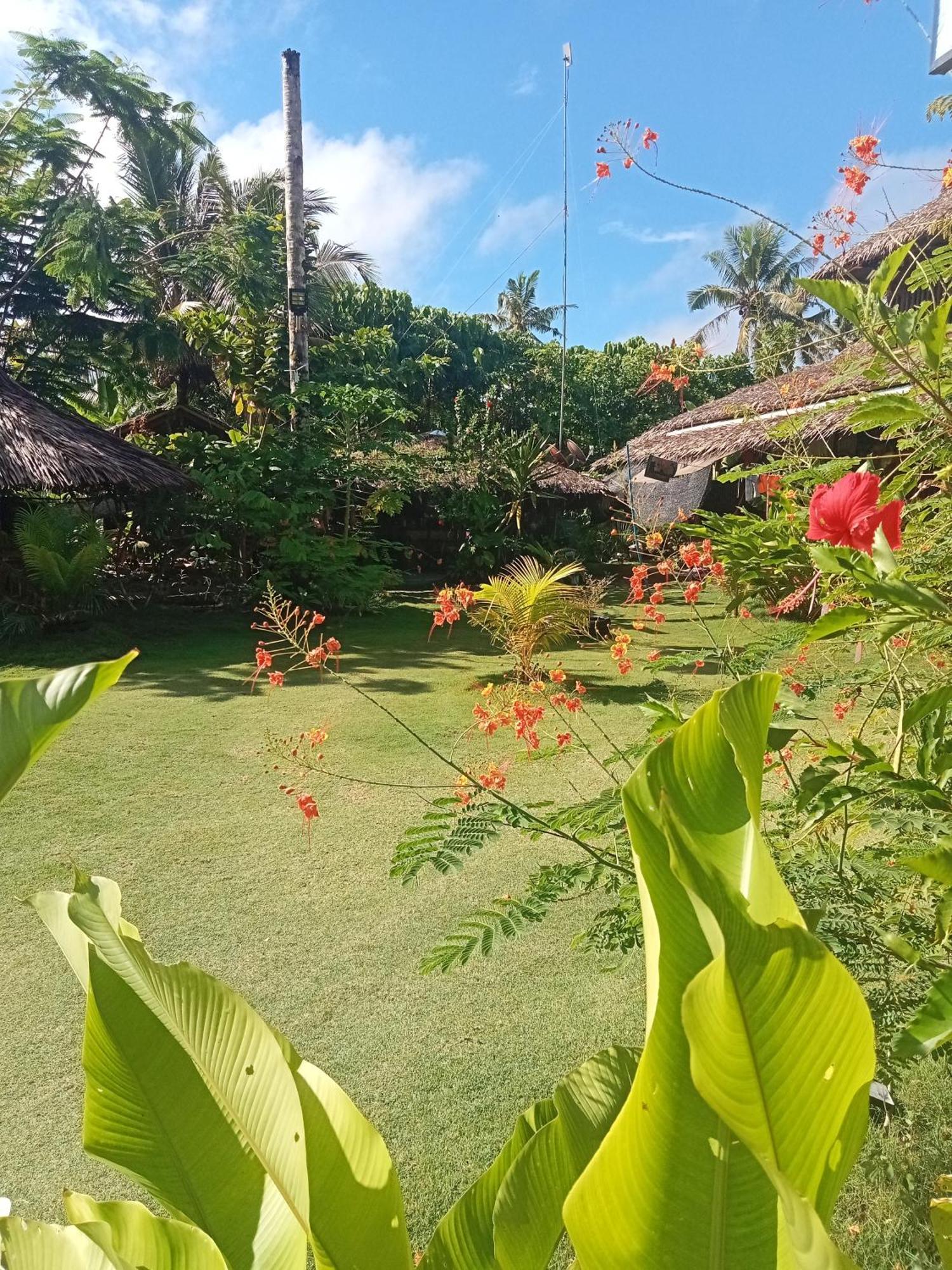 Weeroona Huts Homestay Pacifico San Isidro  Екстер'єр фото